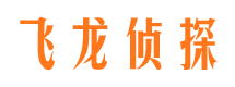 东方侦探公司